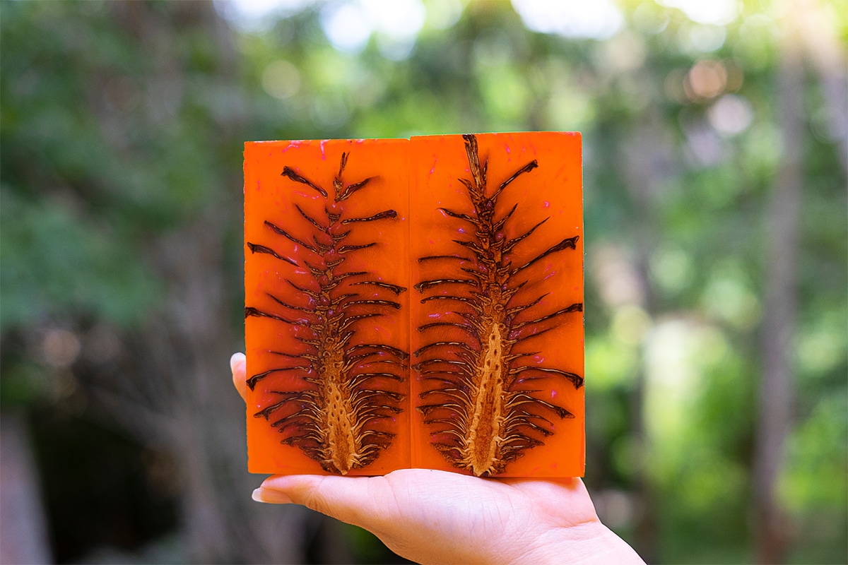 Fluorescent Orange - Professional grade mica powder pigment – The Epoxy  Resin Store