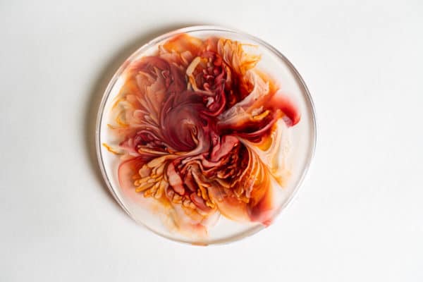 Fleur 3D en résine époxy – Tuto Facile