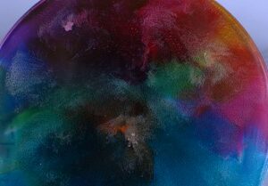 Encre Alcool - 16 Couleurs Alcohol Ink Hautement Concentrée - Teinture de  couleur pour peinture en résine époxy - Idéal pour les assiettes de Petri  en résine(10 ml chacun) : : Cuisine et Maison