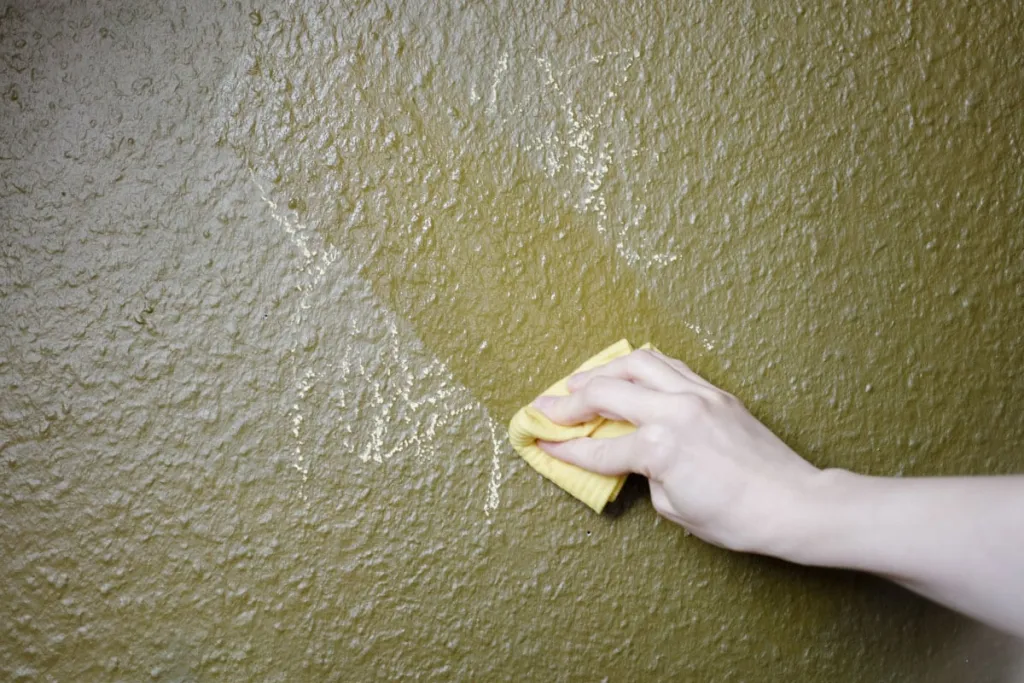 Pintura de pared lavable EPODEX  