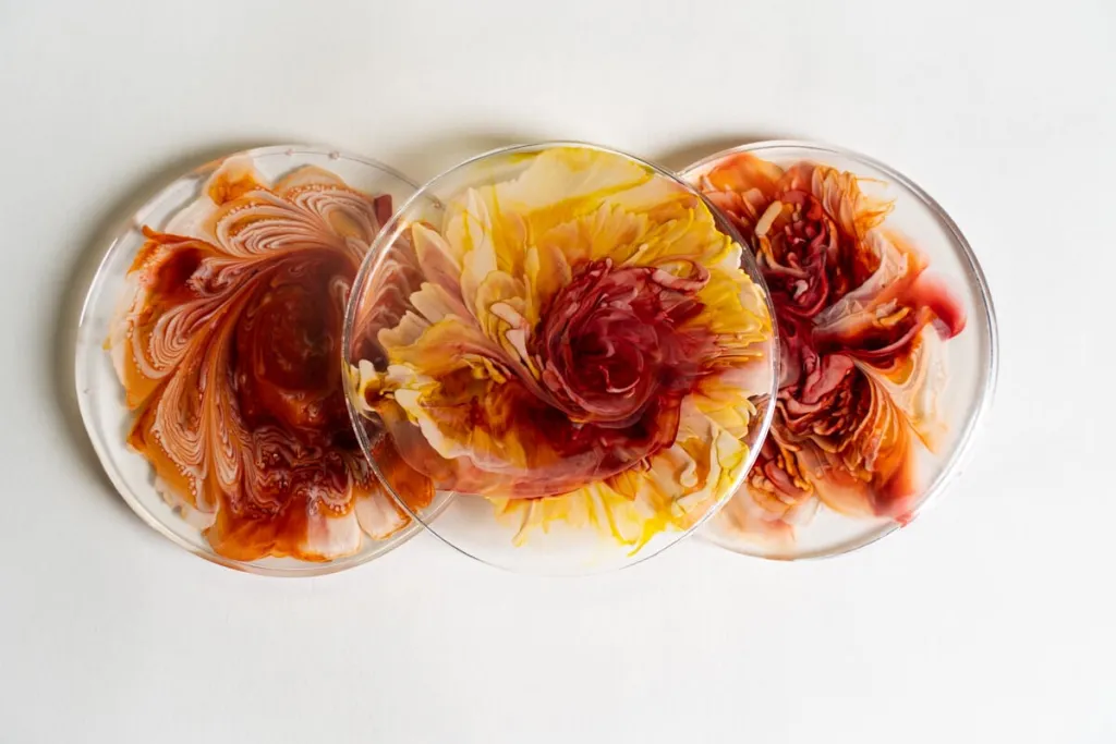 Résine époxy fleur magique résine