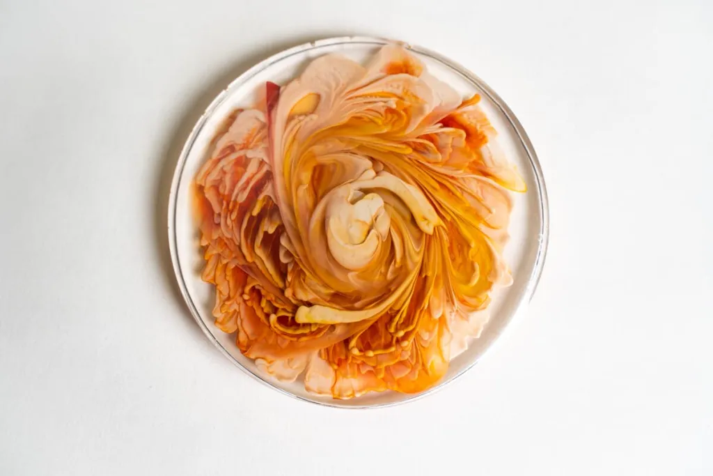 Résine époxy fleur magique résine