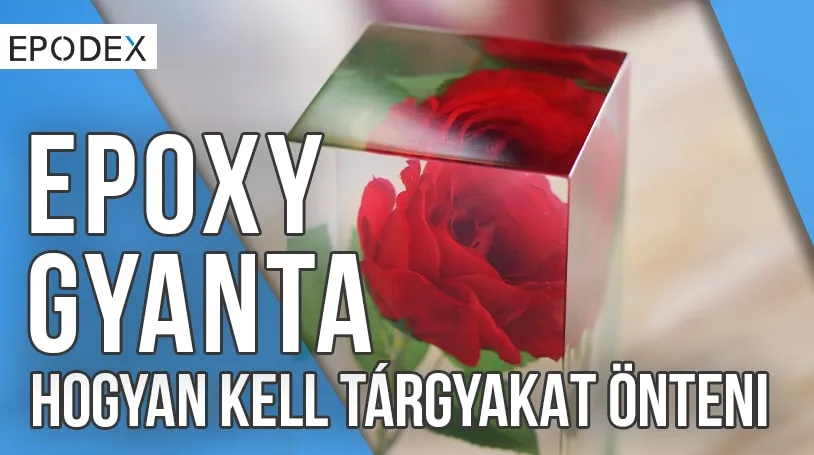 youtube rózsa youtube rózsa