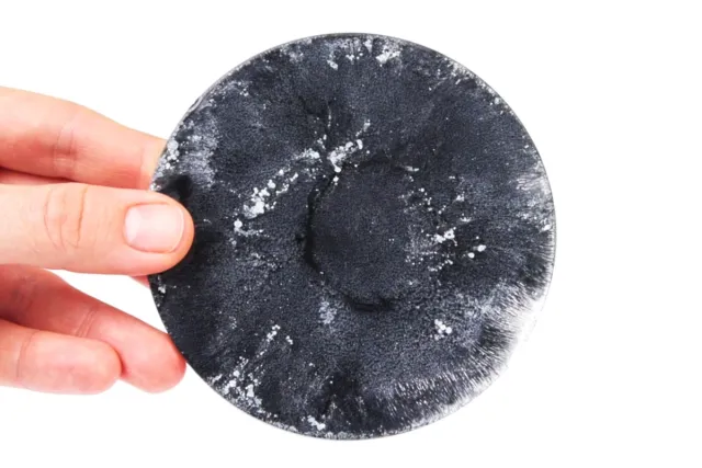 OBSIDIAN BLACK Alc ink epoxidharz schwarz
