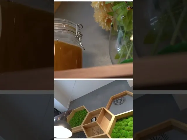 Video Vorschau Video Vorschau