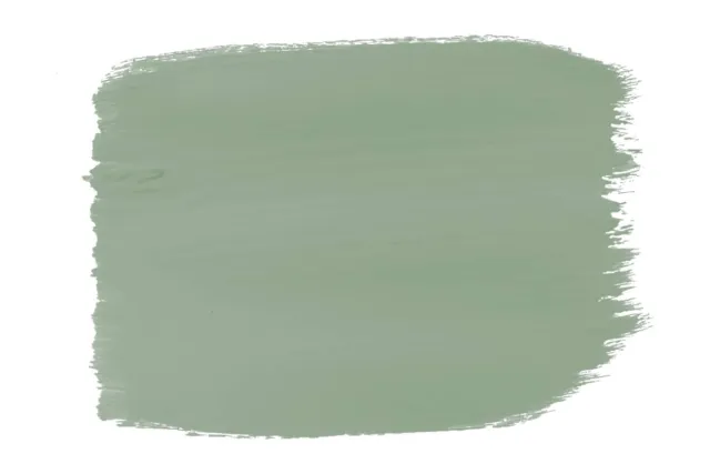Salvia Pintura de tiza comprar salvia