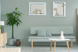 wall Paint Paint EPODEX