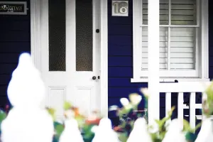 Peinture protectrice bois vernis acrylique bleu ultramarin