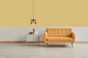 Latex Färg väggfärg finca  