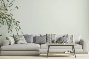 Peinture murale peinture latex mur coton