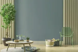 væg Maling Latex Maling industri  