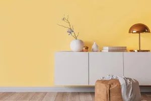 barva na stěnu pastelová okrově hnědá  