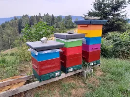 Review attachment by: Bienenhof Pinter