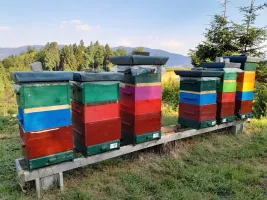 Review attachment by: Bienenhof Pinter