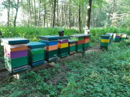 Review attachment by: Bienenhof Pinter