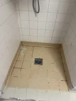 Review attachment by: Julia  Tamplin