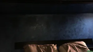 Review attachment by: Saman