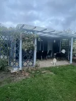 Review attachment by: Amira