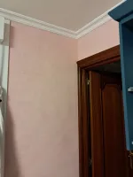 Review attachment by: Silvia